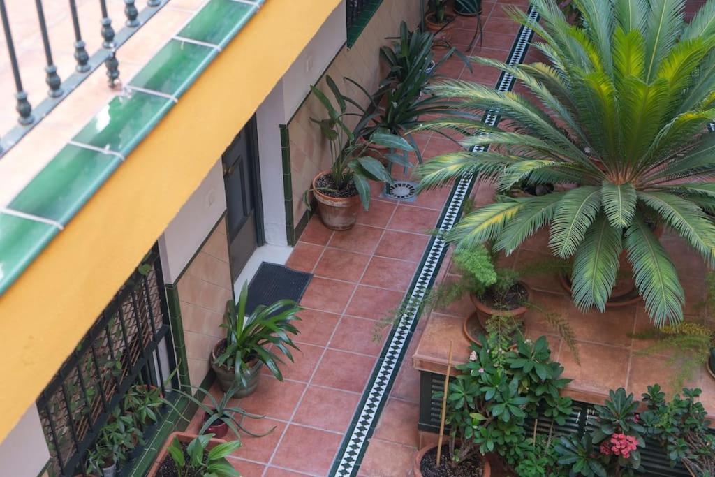 Apartamento Junto A Las Setas De Sevilla Sevilha Exterior foto
